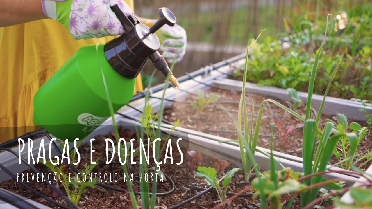 Prevenção e controlo de pragas e doenças na horta