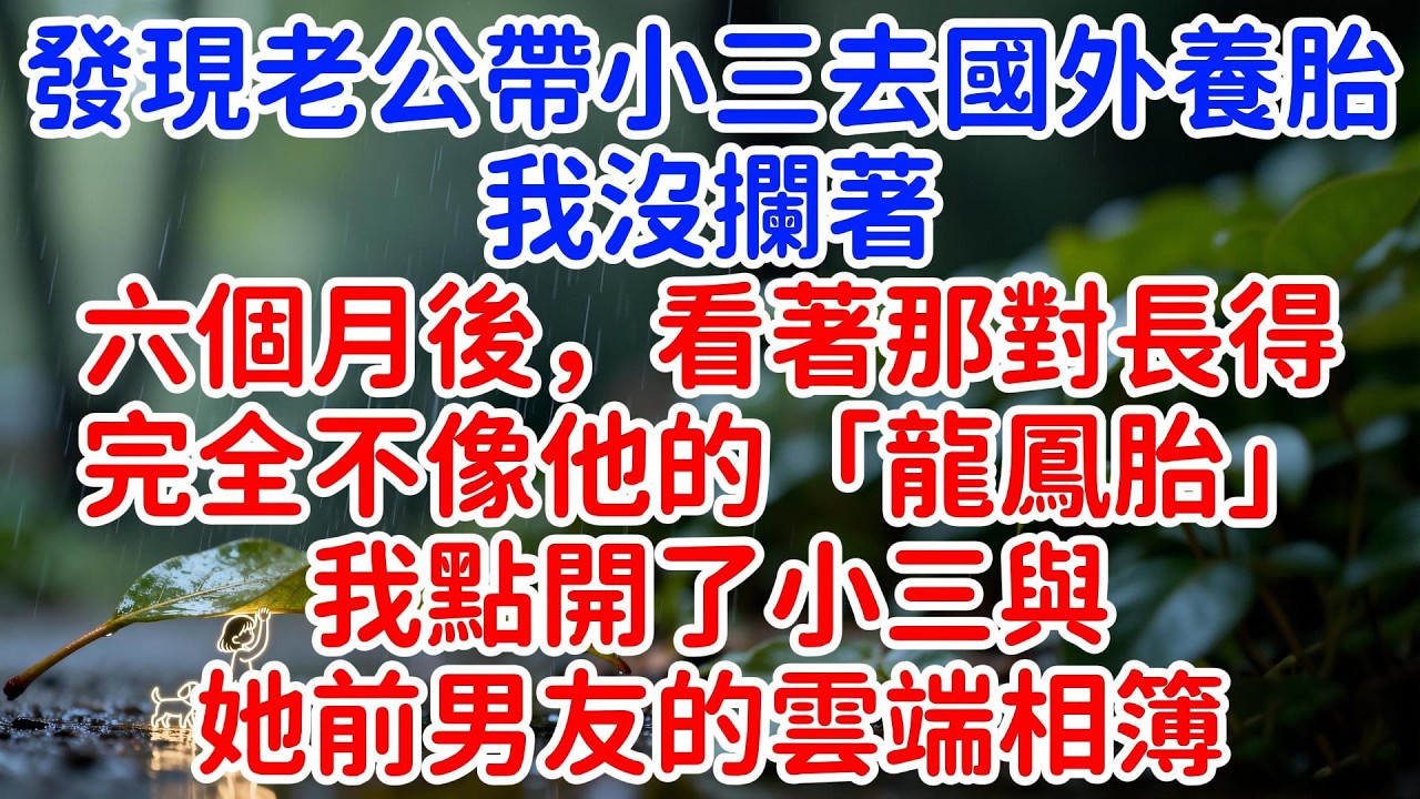 發現老公帶小三去國外養胎，我沒攔著。六個月後，看著那對長得完全不像他的「龍鳳胎」，我默默點開了小三與她前男友的雲端相簿。