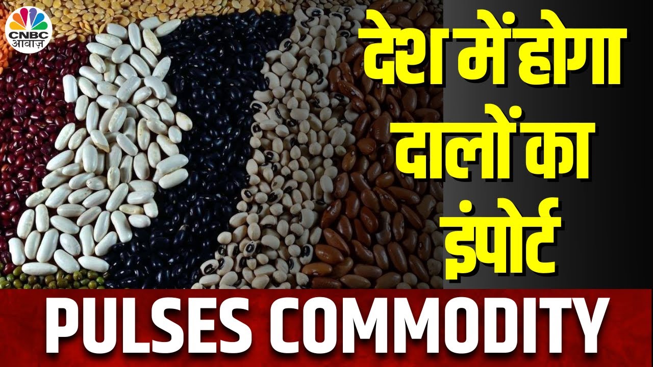 Pulses News | 31 मई तक पीली मटर का होगा Duty Free Import, 2024 में कुल 67 लाख टन दालों का इंपोर्ट