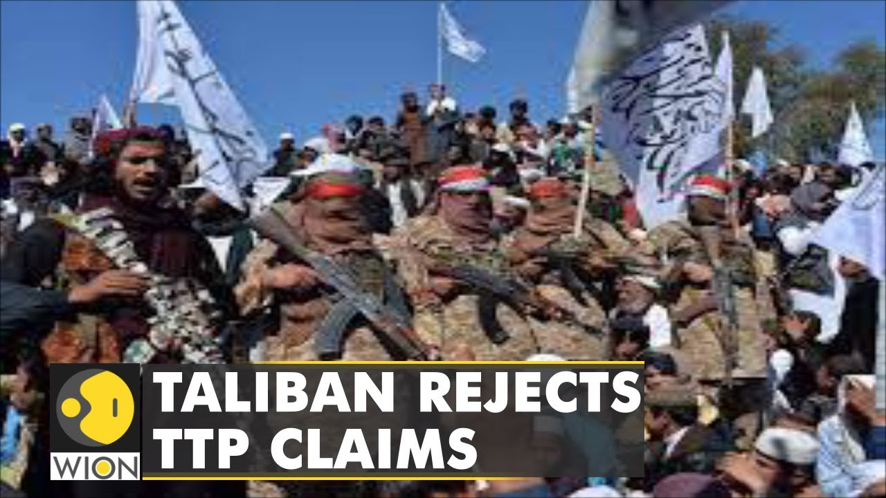 Taliban: TTP not part of Islamic Emirate of Afghanistan | WION | World News | English News Update