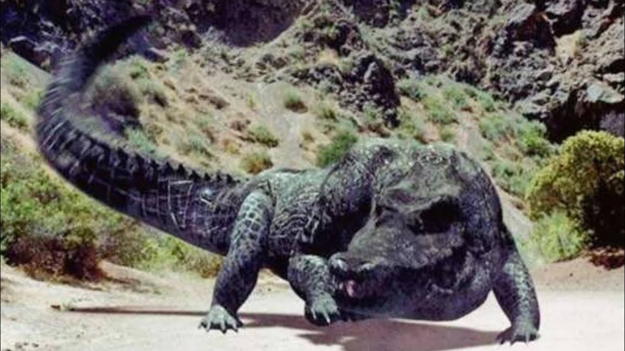 Mega python vs gatoroid [2011] mutated alligators Screen Time ￼