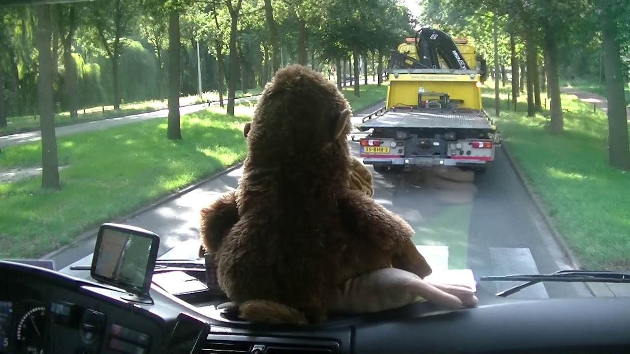 in   de   ooievaarsrun  2019    vlog  1