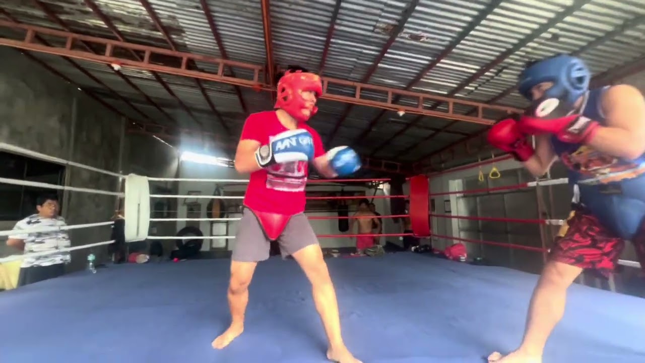 Sparring Day.