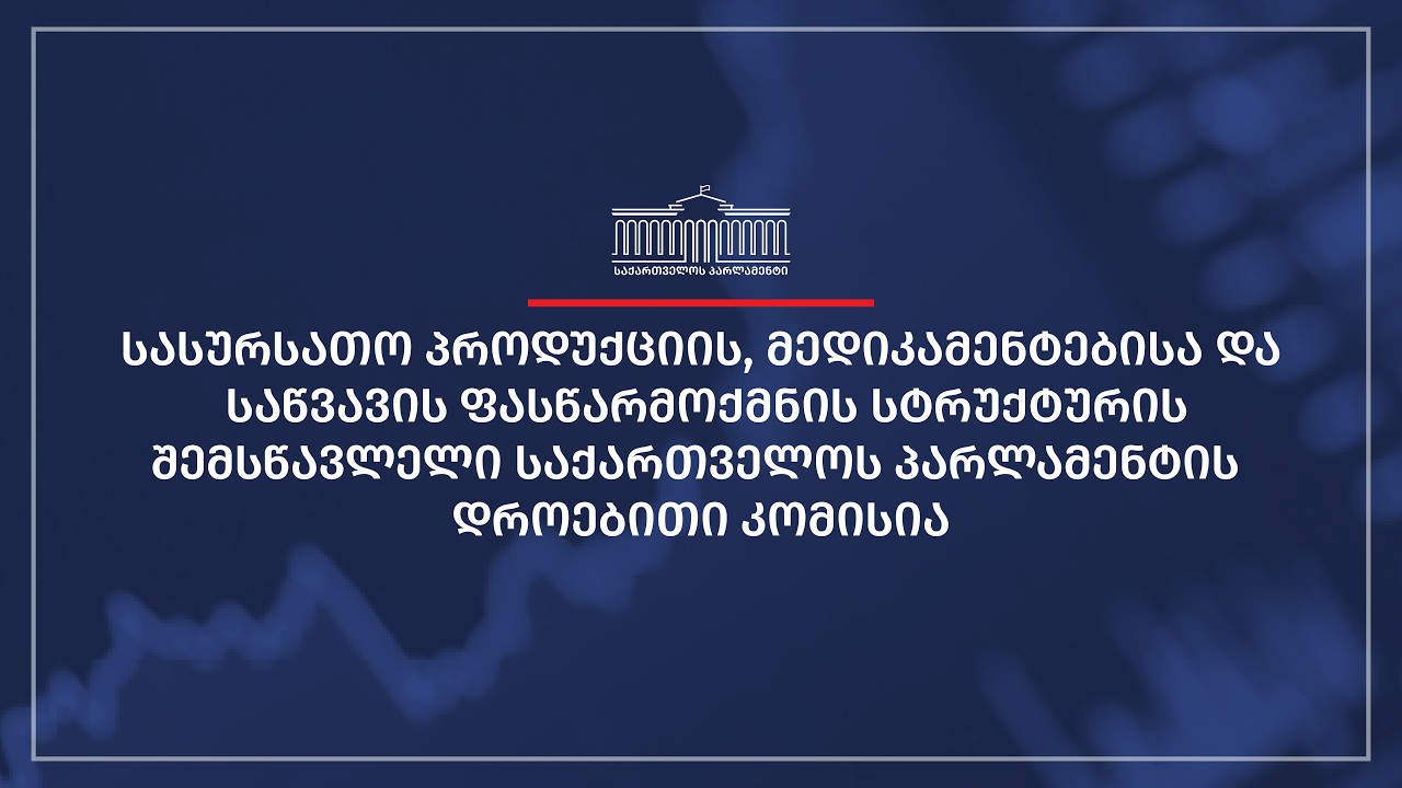 საქართველოს პარლამენტის დროებითი კომისიის სხდომა  N1 - 04.02.2026