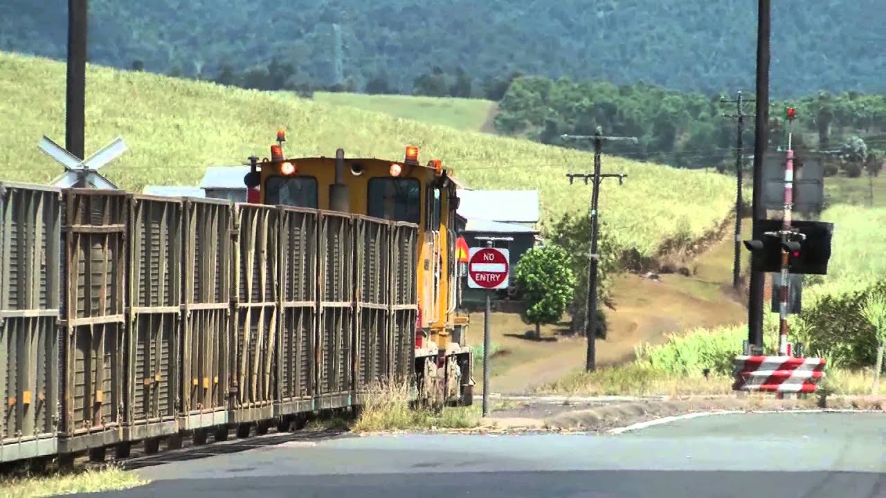 Cane Trains around South Johnstone