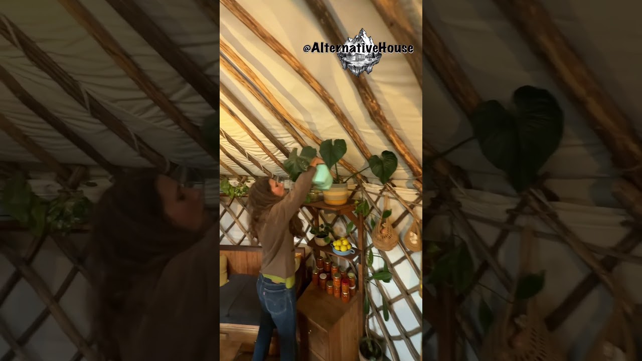 Living Full-Time in a DIY Yurt Built for Just $4,000! 🌿🏡 (Quick Tour Inside!)