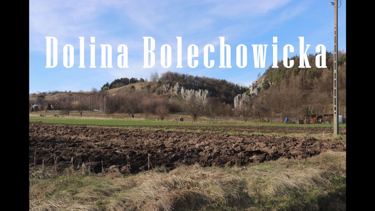 Dolina Bolechowicka