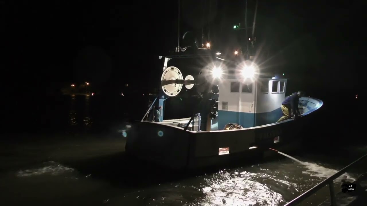 Vidéo Pêcheur de civelles à Arzal extrait film 