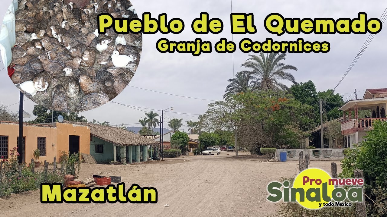 Pueblo de El Quemado, municipio de Mazatlán.
