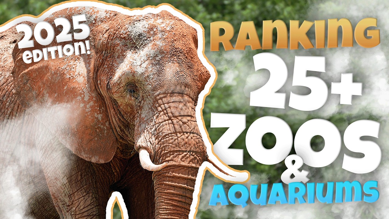 🐘 Ranking ALL 27 Zoos I've Been To This Year!