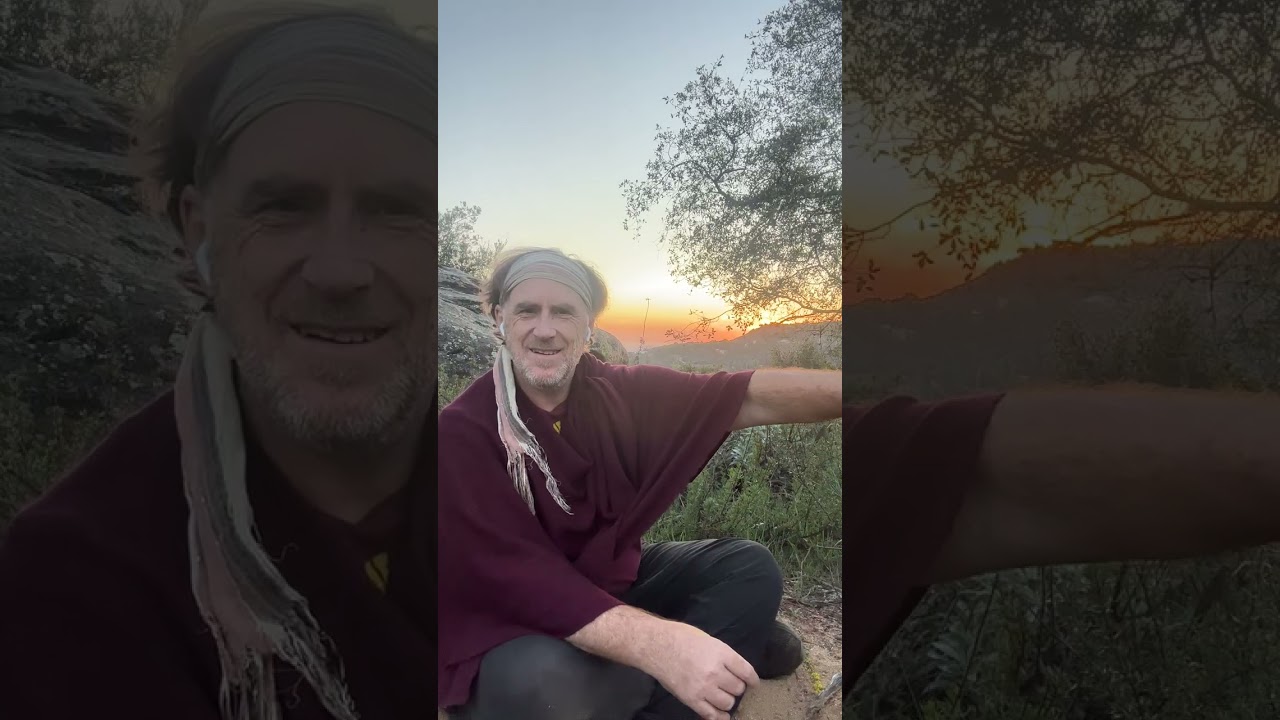 Harp Wisdom