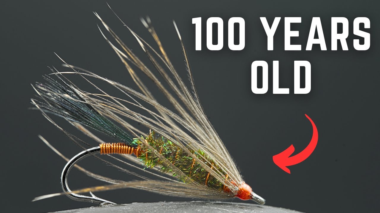 100-Year-Old Fly Still Catches Fish! | Carey Special Fly Pattern