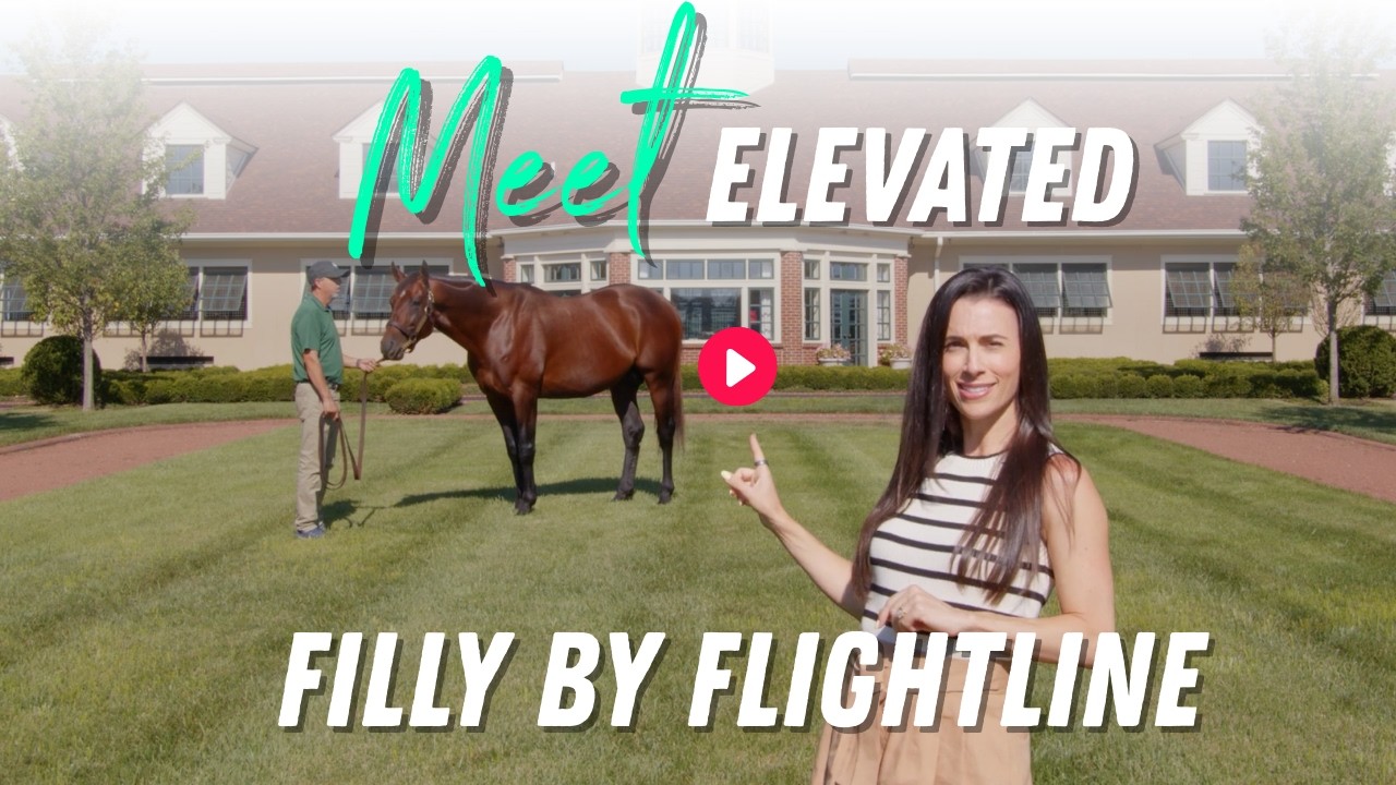Встречайте Elevated: новая Flightline Filly