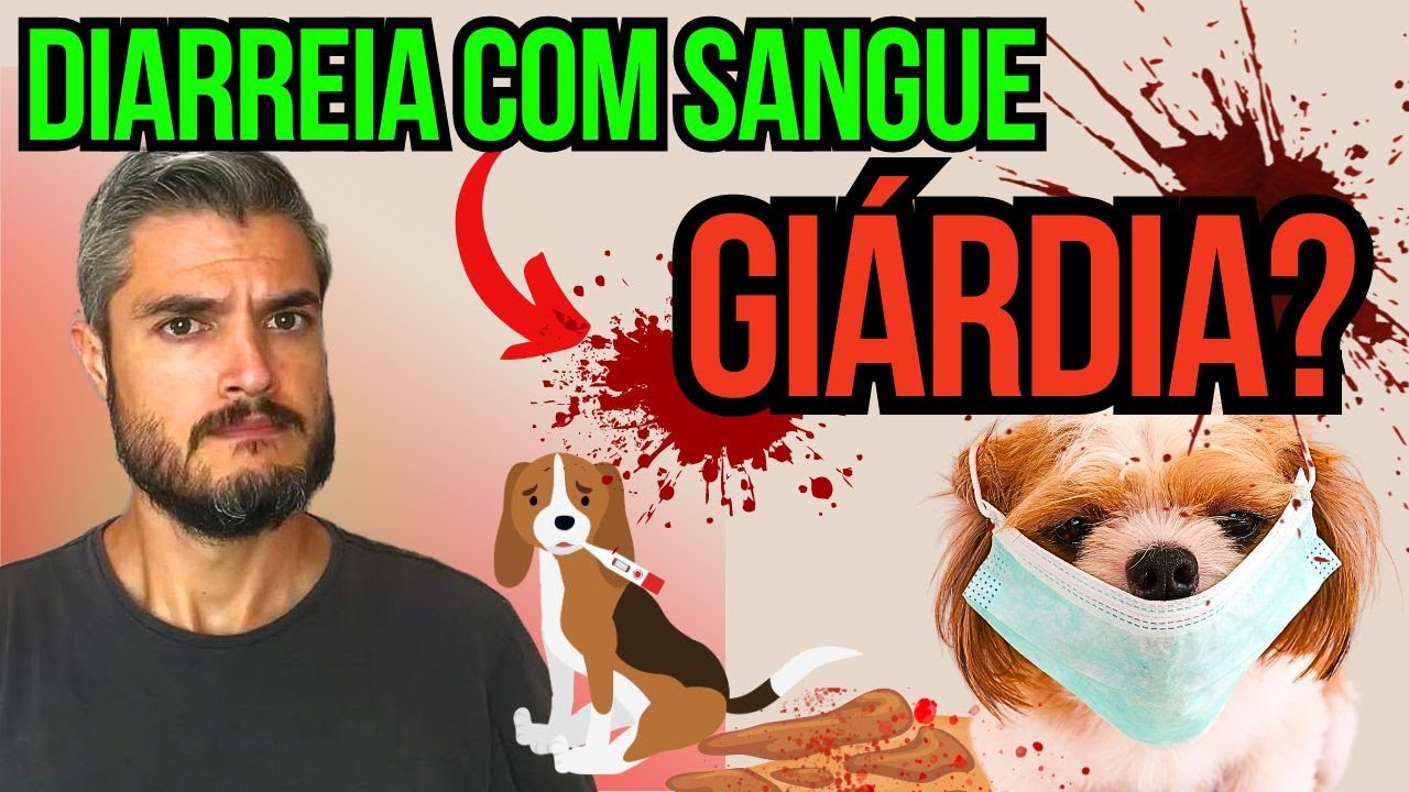 Cachorro Vomitando com Diarreia Com Sangue COMO CURAR GIARDIA NO CÃO EM CASA COM MUITO MUCO NA FEZES