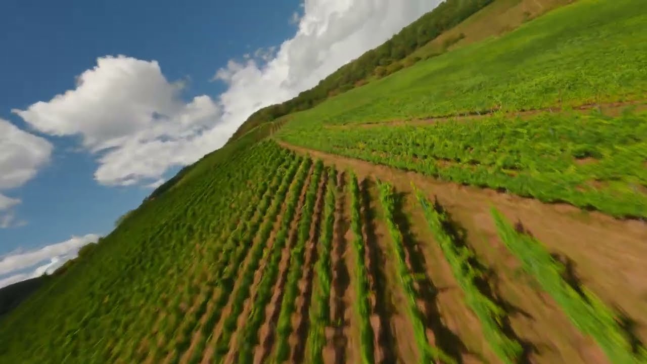 UNCUT FPV Journey Above German Vineyards 🍇 | GoPro Hero 13 Cinematic Flight