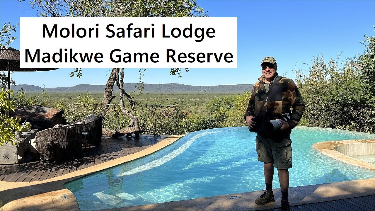 Molori Safari Lodge at Madikwe Game Reserve, South Africa: Exclusive 5 Star Boutique Luxury Lodge