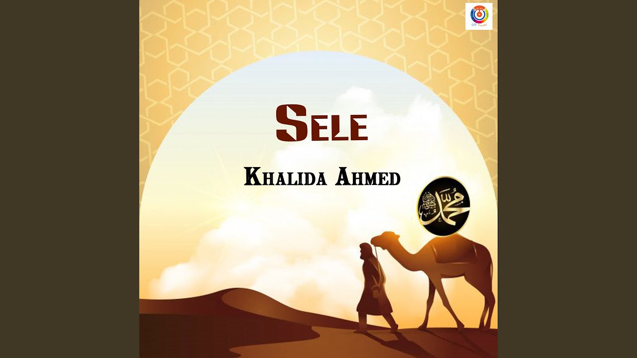 سيلي