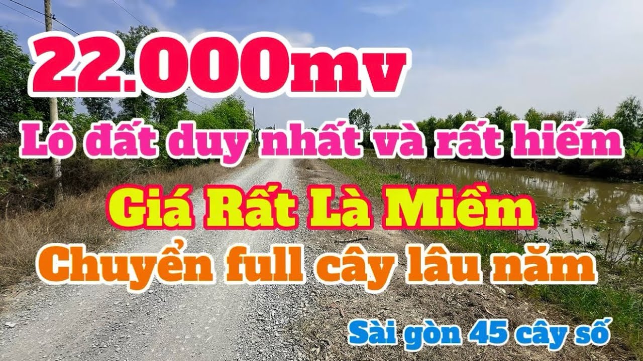 (Số 893) Cực Hiếm 22.000MV Vị Trí Đắc Địa-Cần Bán Gấp Giá Rất Miềm Tại Thạnh Hoá