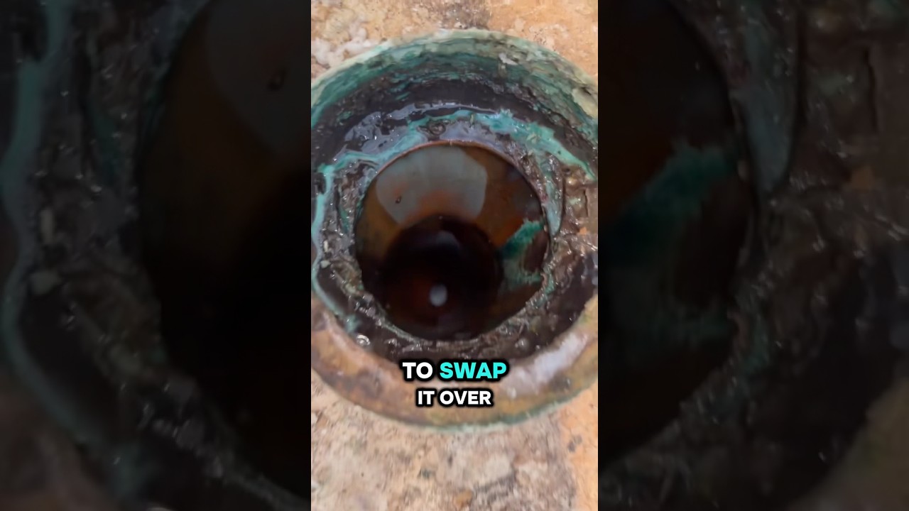 This is why you should always trust your plumber. 🛠️