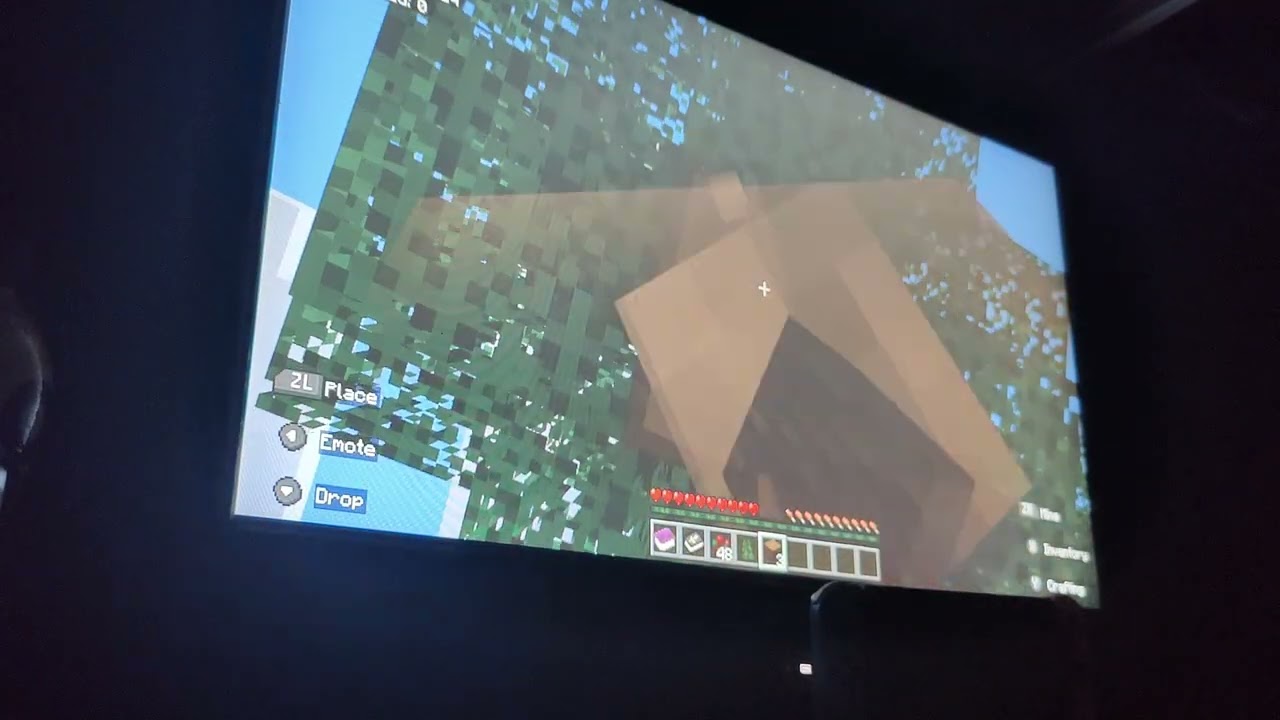 Minecraft