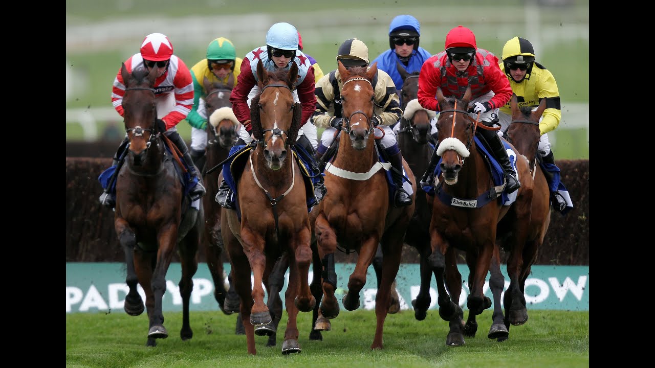 A DAY at the RACES, PLUMPTON, East Sussex