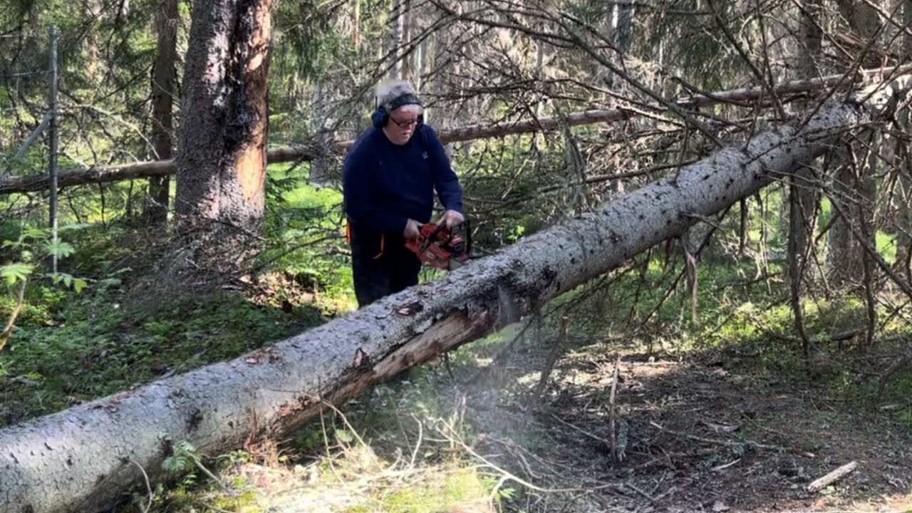 30 maj 2025  vandringslederna röjs. SILVBERGS fritidsföreningen. Skyltar tillverkas.
