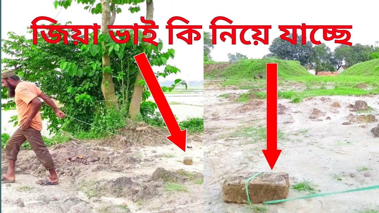জিয়া ভাই কি নিয়ে যাচ্ছে