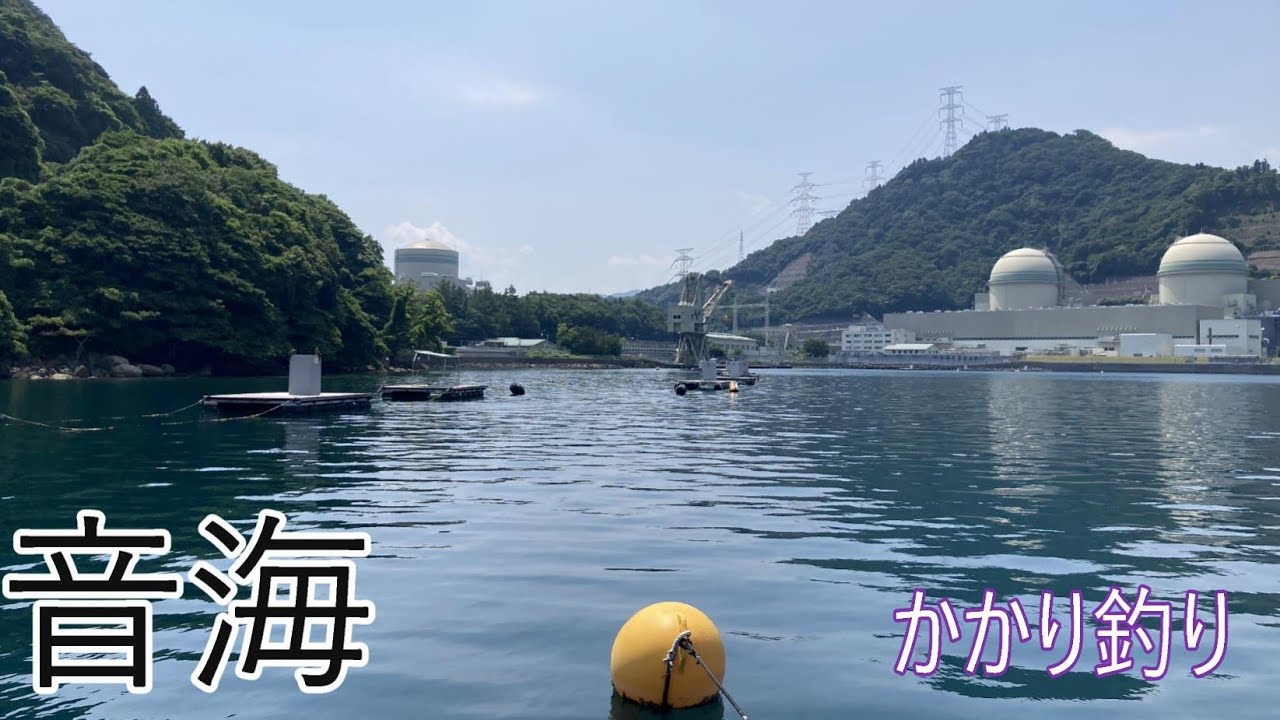 かかり釣り　アタリ　音海　2024年　7月　下旬