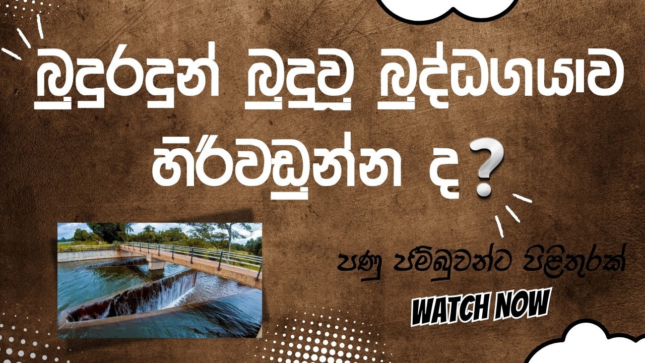 Is Hiriwadunna the Real Buddha Gaya? | බුදු රදුන් බුදුවූ බුද්ධගයාව හිරිවඩුන්නද? #history #education