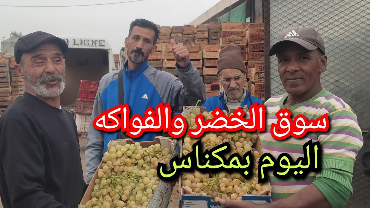 جولة مملوءة بالخيرات من سوق الجملة للخضر والفواكه بمدينة مكناس ليوم الخميس 9/10