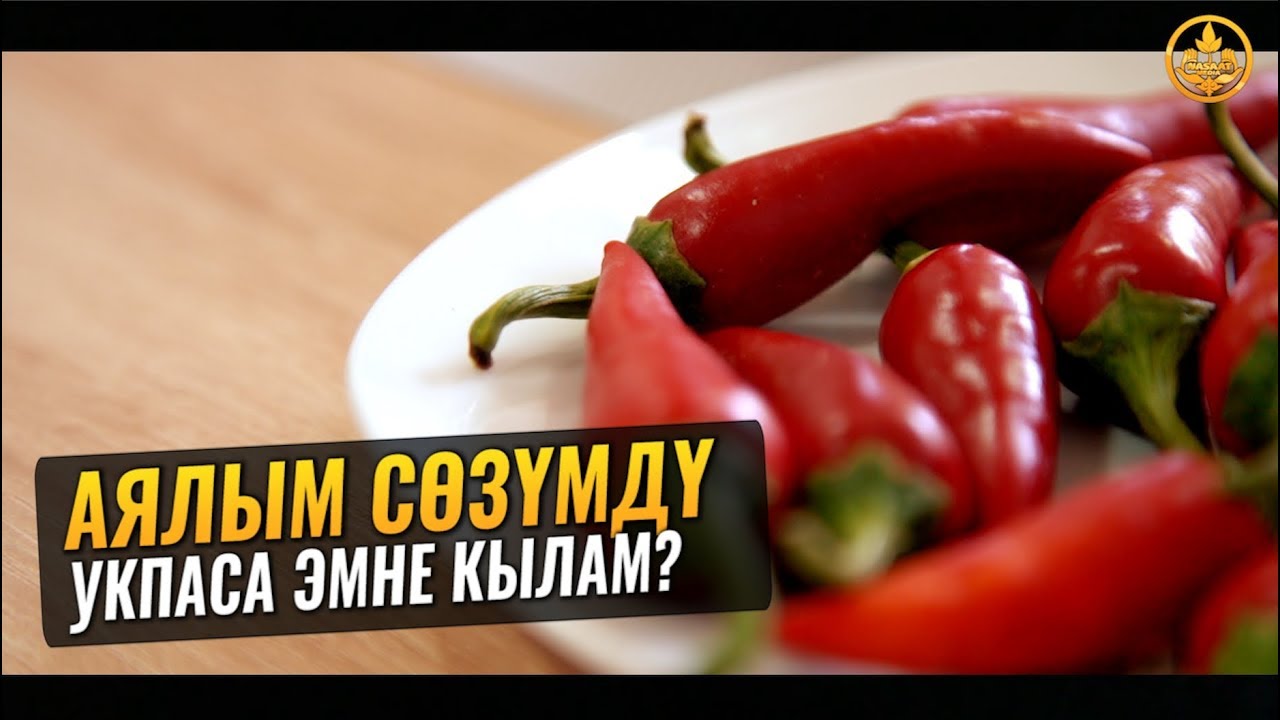 АЯЛЫМ СӨЗҮМДҮ УКПАСА ЭМНЕ КЫЛАМ... Шейх Чубак ажы