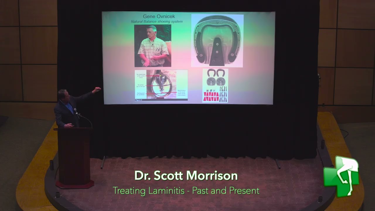 Dr Scott Morrison RREH Client Ed 2025