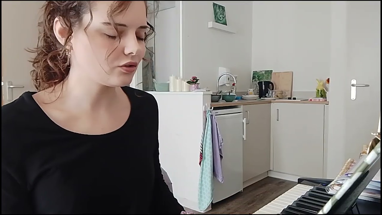 Piano cover: Make you feel my love~Adele