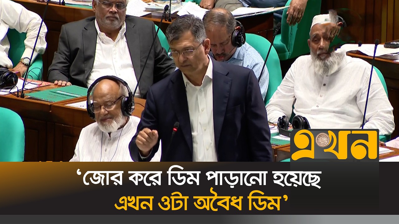 রাষ্ট্রপতিকে আদেশ জারি করতে বাধ্য করেছে অন্তর্বতী সরকার | Salahuddin Ahmed | Ekhon TV