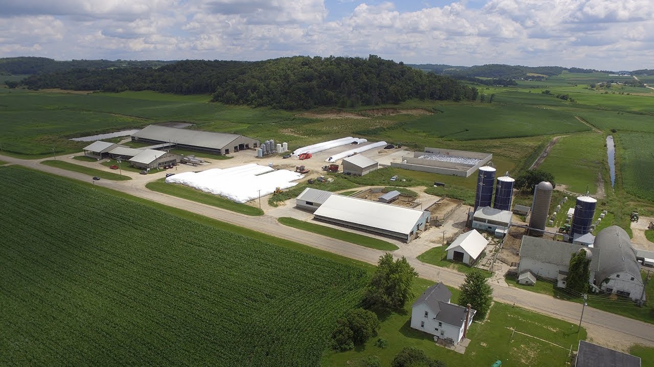 Holstein America: август 2018 г.
