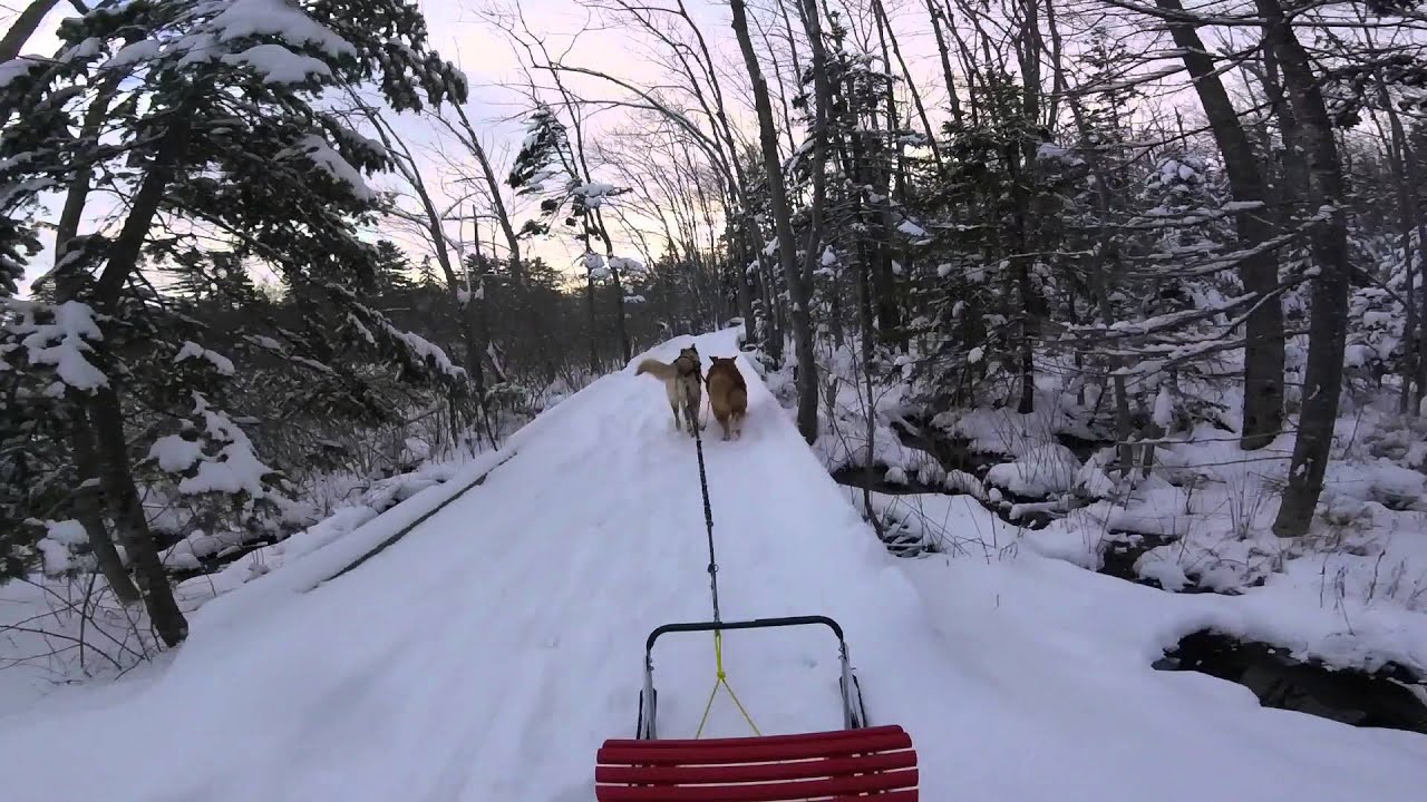 Dog sledding First Lake trail~ Esla Kicksled