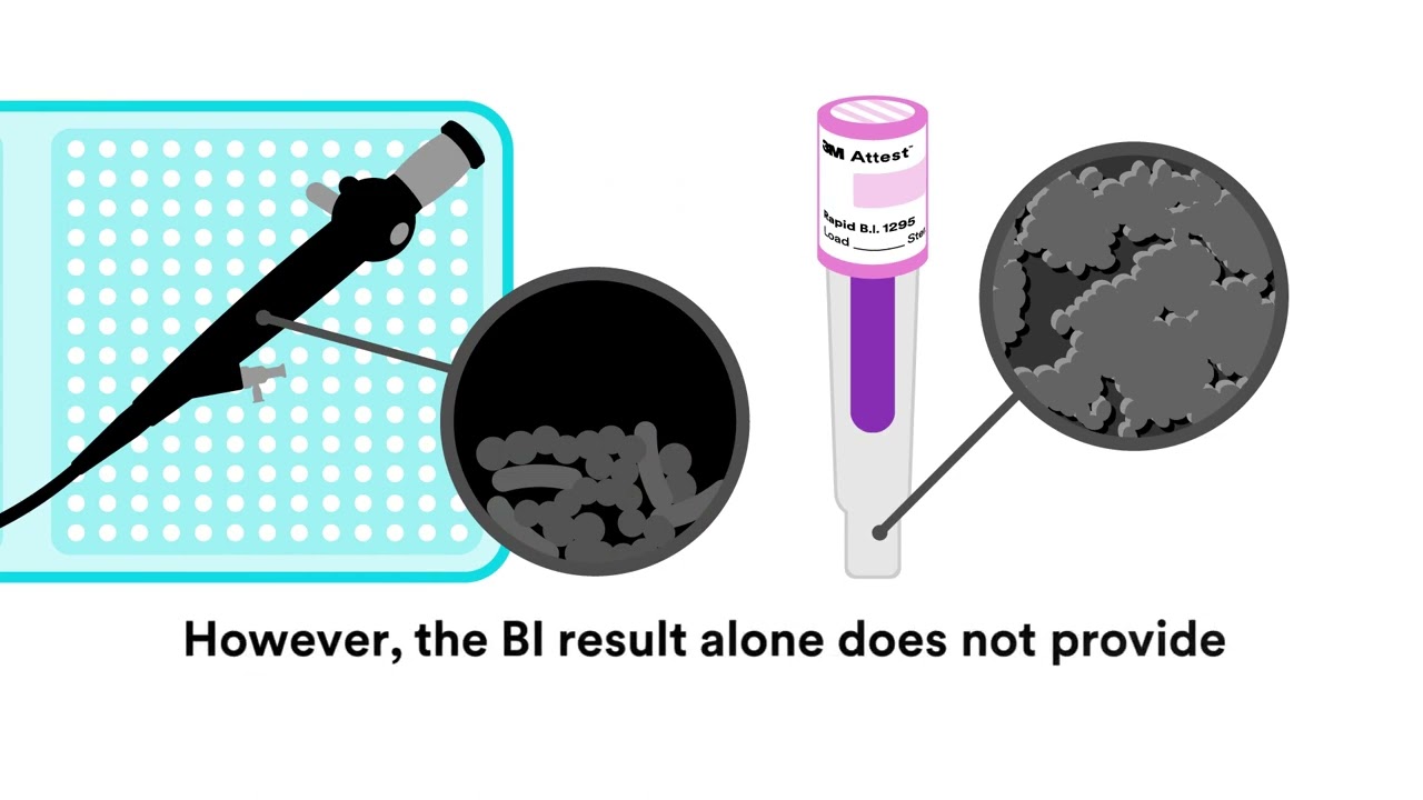 Biological indicators (BIs) and chemical indicators (CIs) working together for VH2O2 sterilization.