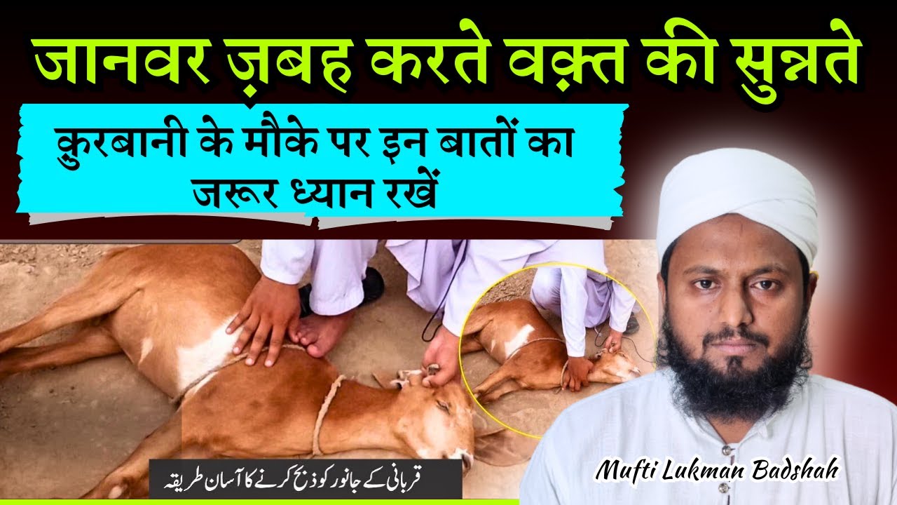 Qurbani Ke Mouke Par Janwar Zibah Karte Waqt Ki Sunnate | Qurbani Ki Dua Aur Tarika | Mufti Lukman