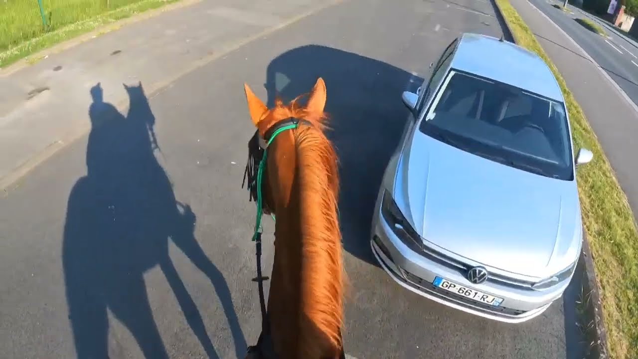Julia Trotteur réformé de tout juste 6 ans sortie solo le kiff 🥰