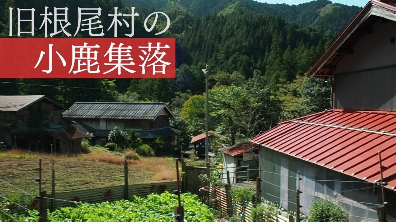 岐阜　旧根尾村の小鹿集落【傾斜地・限界集落】Motosu City Neoojika, Gifu, Japan