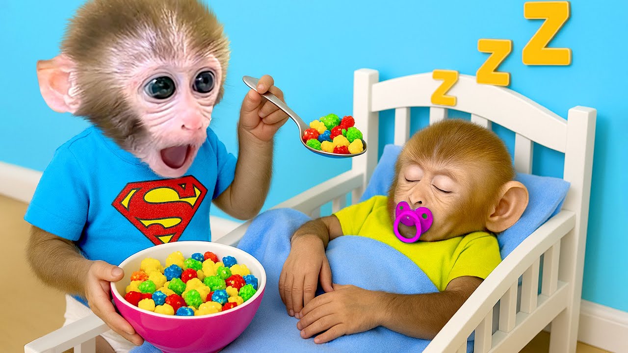 ลิงน้อยบอนบอนดูแลน้องชายสุดน่ารักของตัวเองและขยันช่วยทำงานบ้าน - HT สัตว์