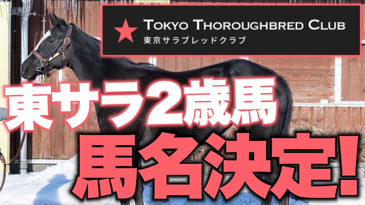 【一口馬主】東サラ24産駒2歳馬の馬名が決定したぞ！！