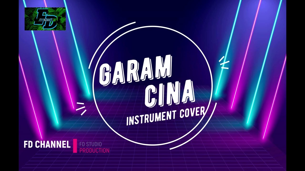 (GARAM CINA) instrument cover