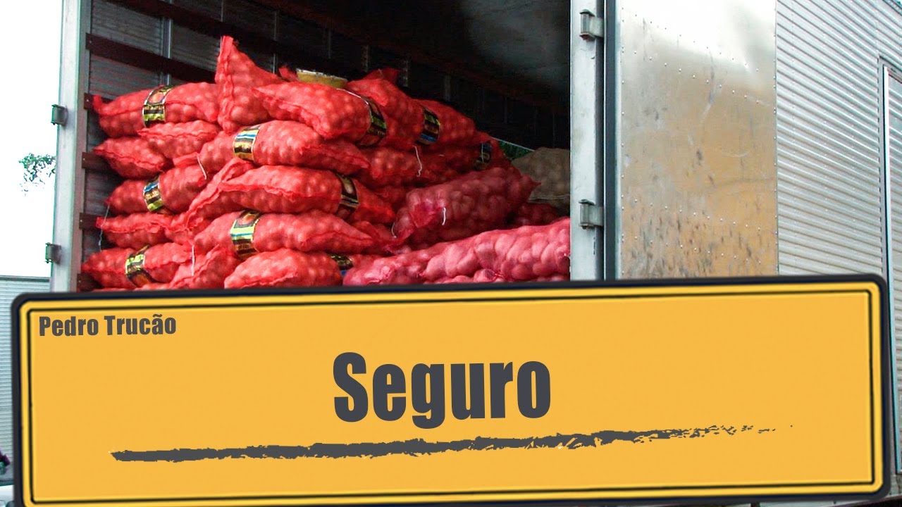 Seguro para o caminhão e para carga