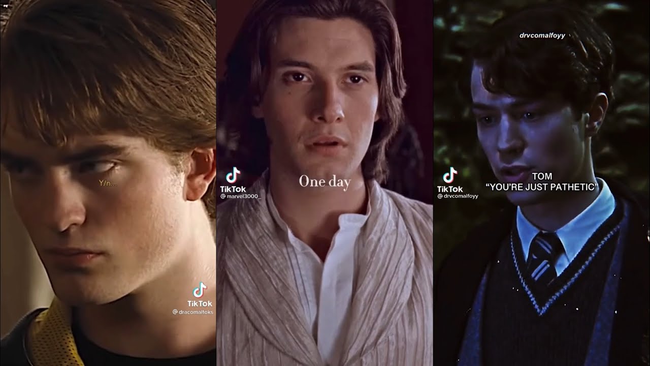 Harry Potter Boys x Y/N TikTok POV