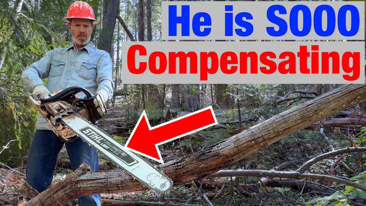 Long Chainsaw Bars Are For Guys With Small Wood