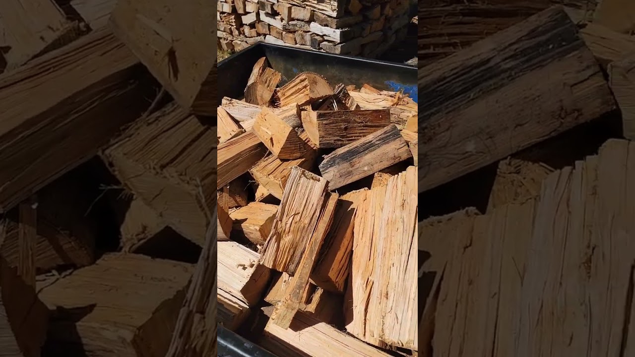 #147 Collecting firewood and making fire starters