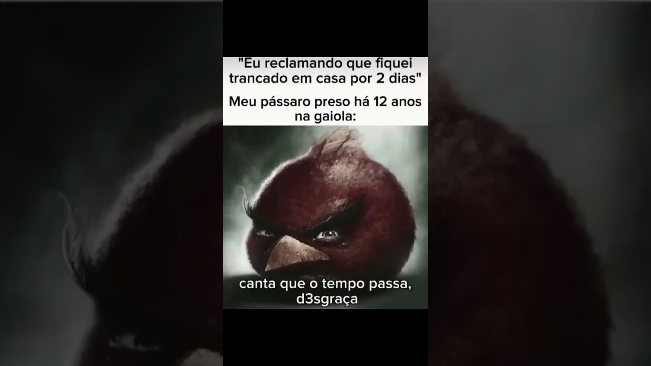 PÁSSARO 