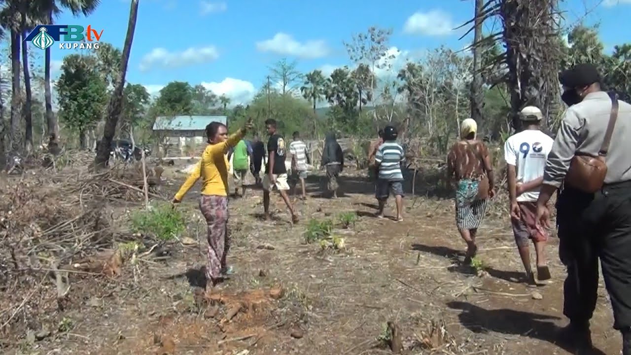 BPN Diduga Terbitkan Peta Bidang Tanah Palsu – Kabupaten Kupang