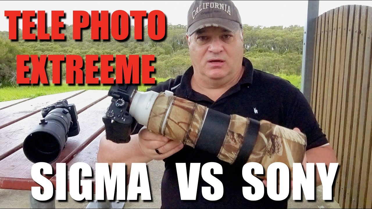 Kings of lenses! Sony 200-600G vs Sigma 150-600 DG DN Sports